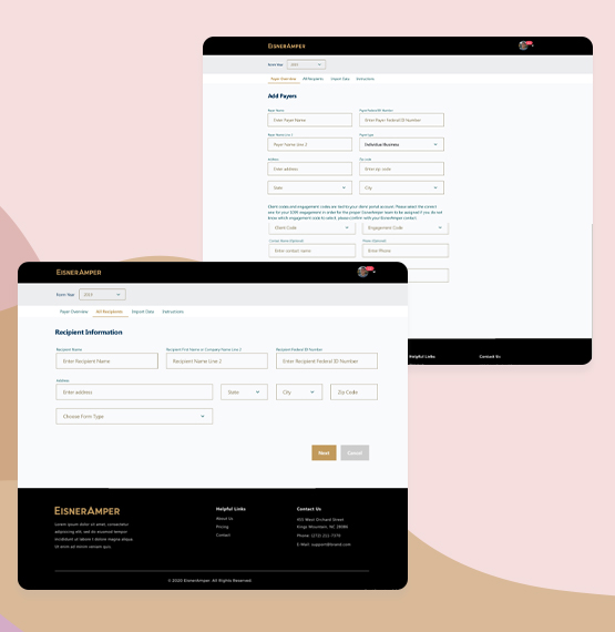 1099 form submission screen of Taxation and Accounting Software