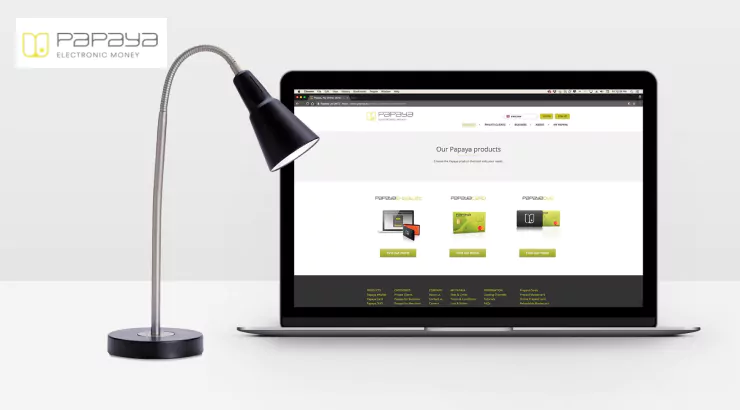 Electronic Money Financial Platform